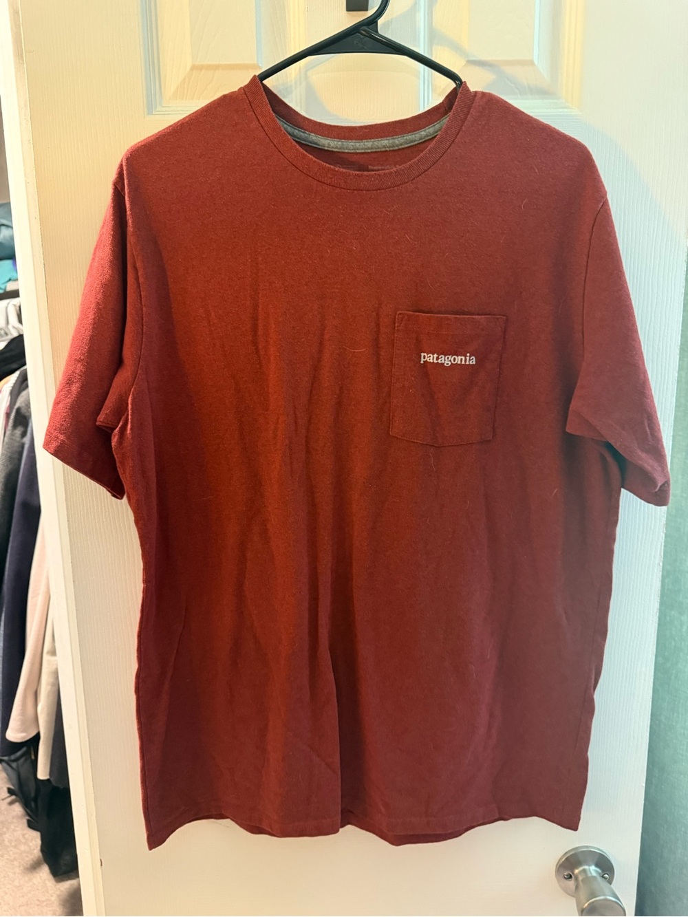 Patagonia Men’s T-shirt